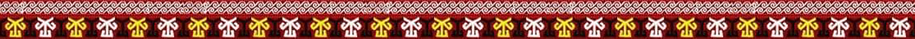 TDBGI